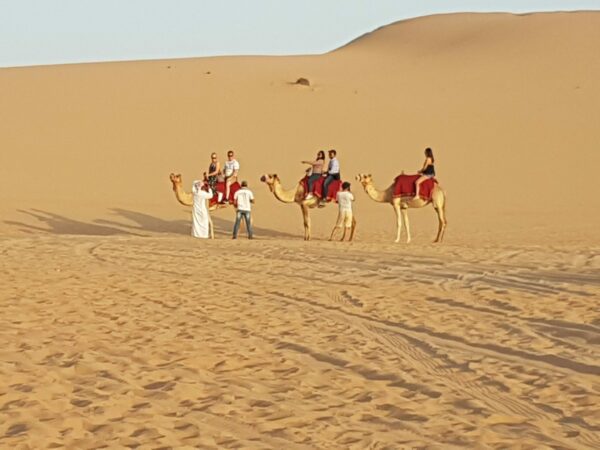 จอง Camel Safari Abu Dhabi
