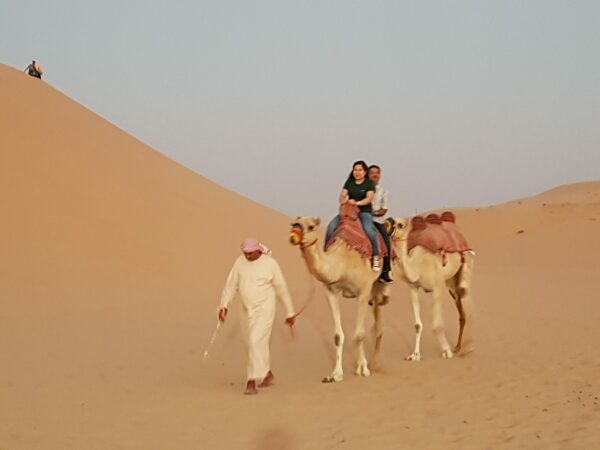 Passeig en camell