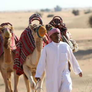 Safari Camel ann an Dubai