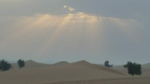 Wüstentour in Abu Dhabi
