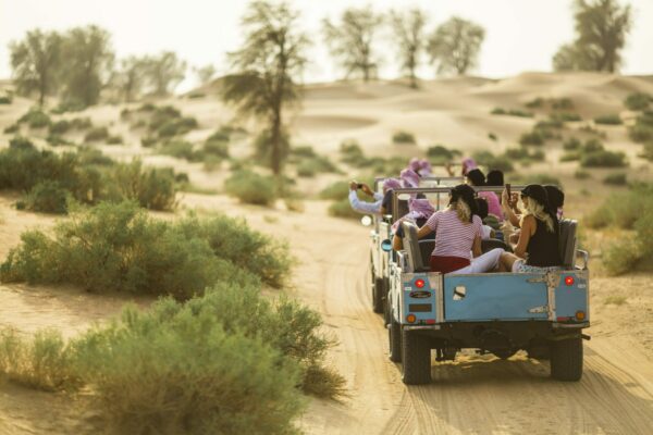 Dubai Safari booking