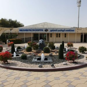 Falkenkrankenhaus Abu Dhabi