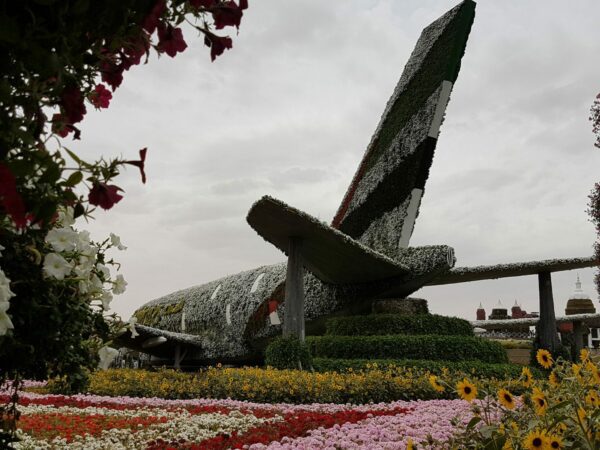 मिरेकल गार्डन में फूलों वाला हवाई जहाज