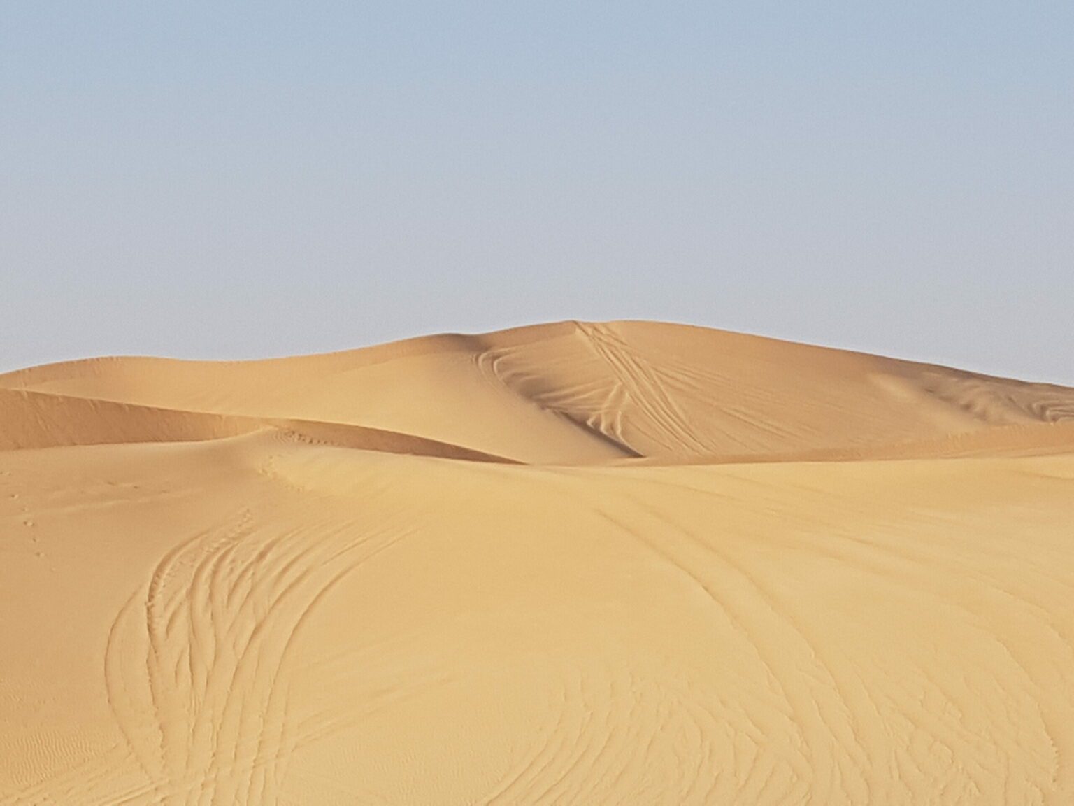Morning Desert Safari in Abu Dhabi