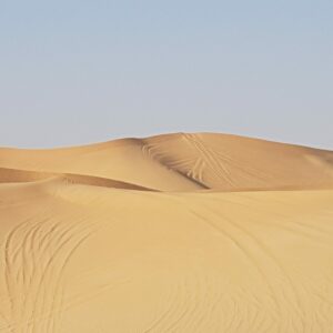 Morgen ørkensafari i Abu Dhabi
