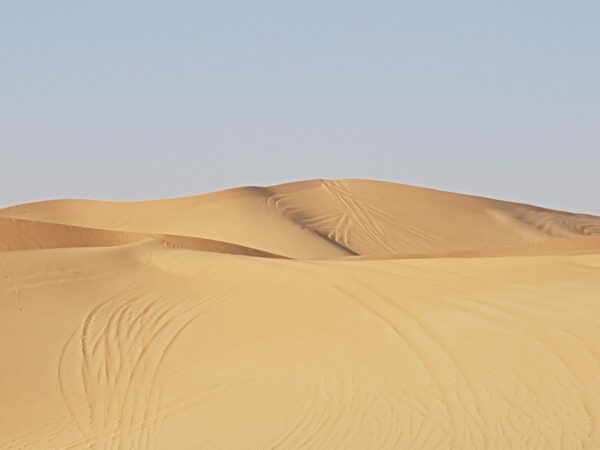 Wüstensafari am Morgen in Abu Dhabi