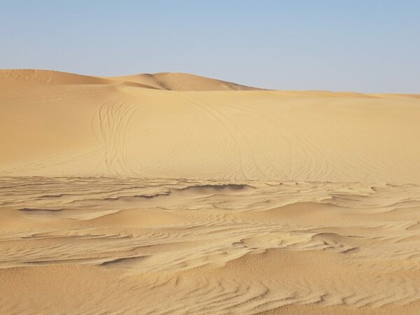 Reggeli sivatagi szafari, Abu Dhabi