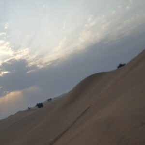 Excursion au lever du soleil dans le désert d'Abu Dhabi