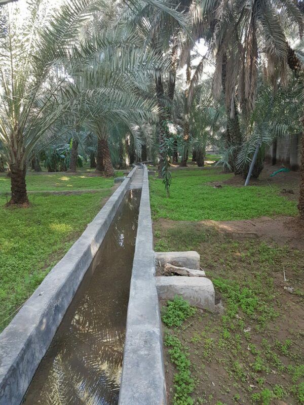 Pretium Al Ain Oasis