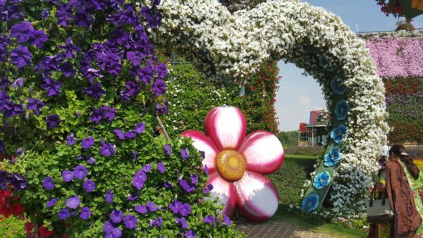 We visit the Miracle Garden