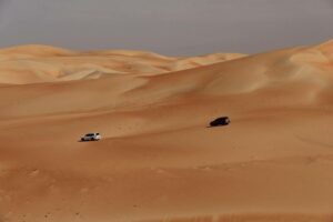 Liwa Desert Safari from Abu Dhabi