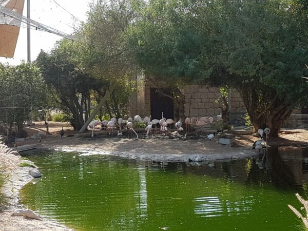 Állatkert Al Ain hely