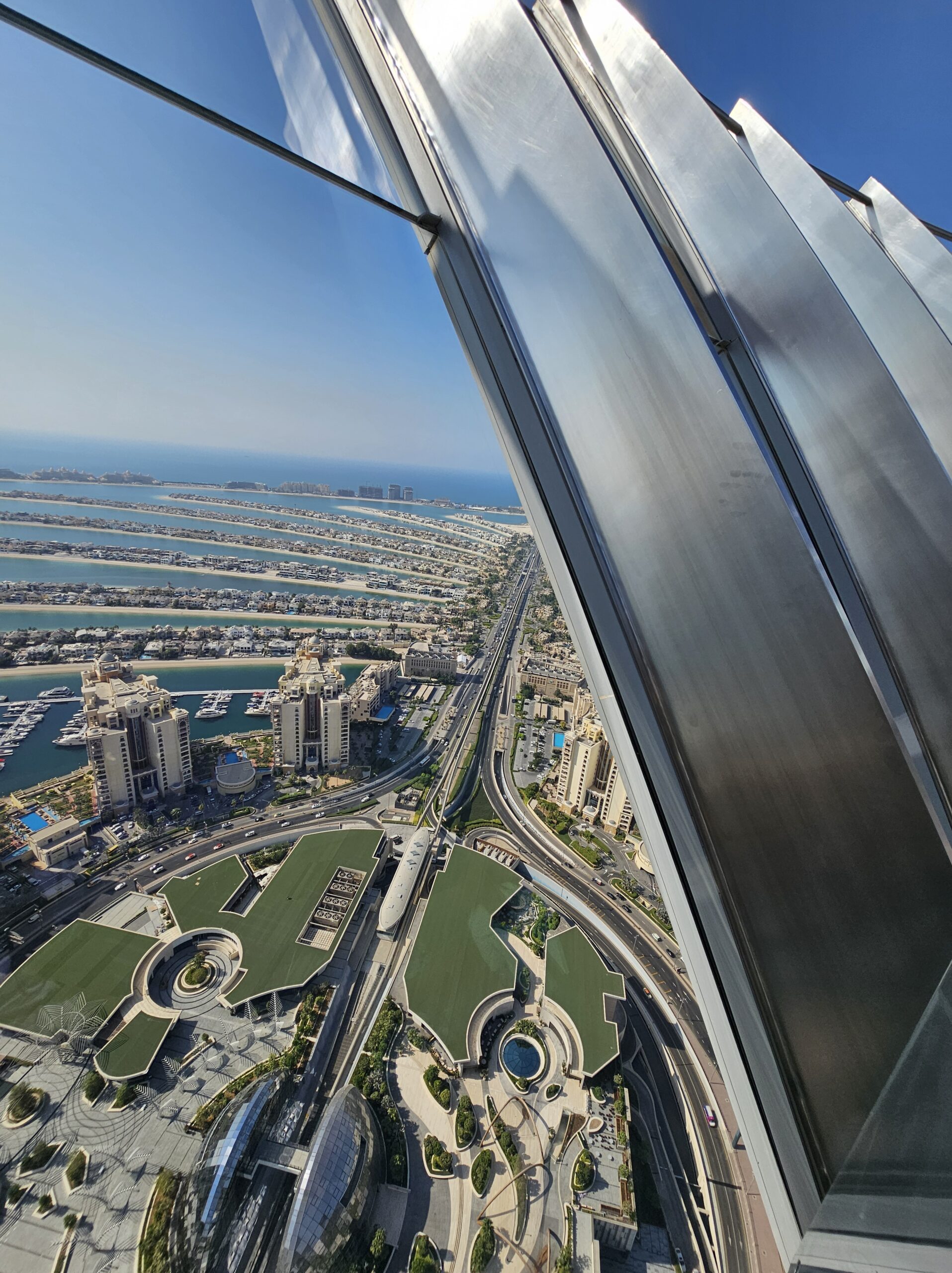 The View of the Palm