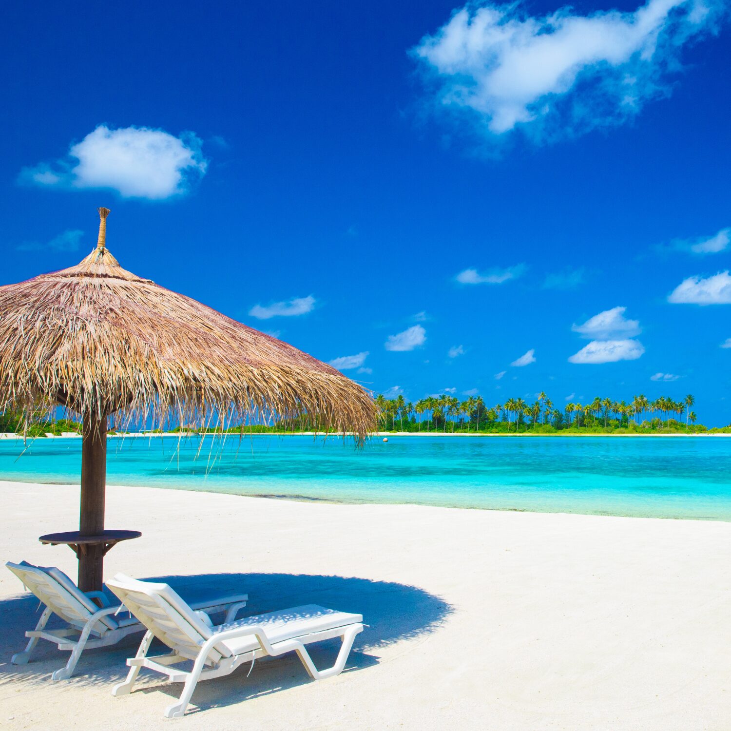 UAE Beaches