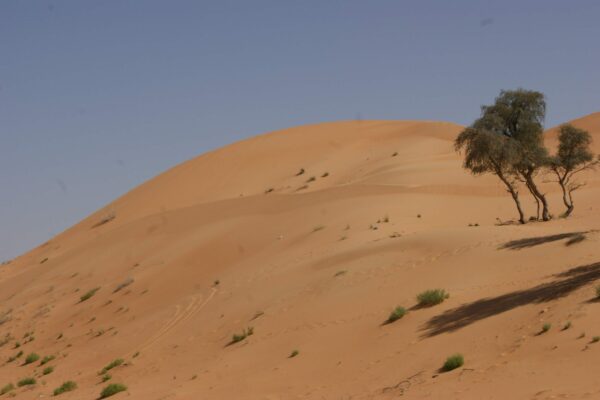 Al Ain Wüste