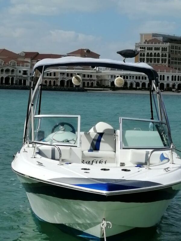 Sharing Boat Tours Abu Dhabi